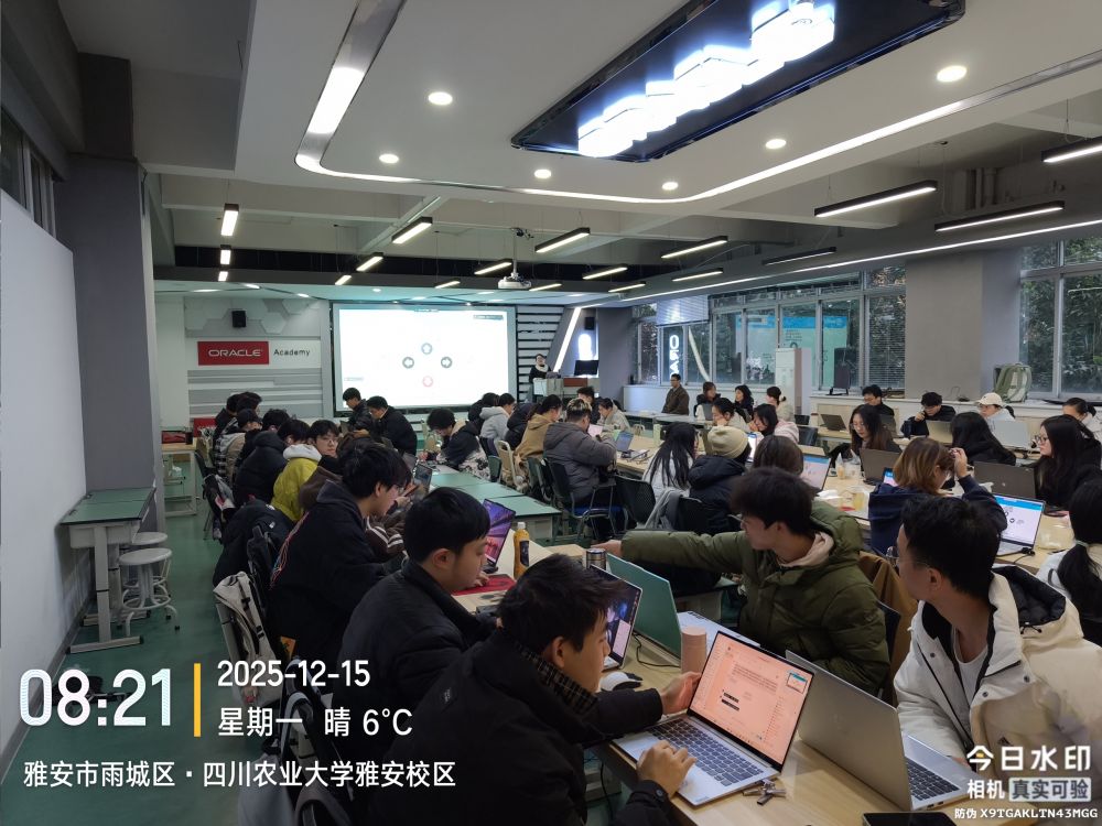 四川农业大学项目实训